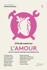 15 brefs essais sur l'amour Petits et grands chantiers de reconstruction  Marylise Hamelin (Directeur de publication) Véronique Alarie (Auteur) Raphaëlle Corbeil (Auteur) Laura Doyle Péan (Auteur) Collectif