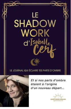 Le Shadow Work d'Isabelle Cerf Le journal qui éclaire tes parts d'ombre  Isabelle Cerf (Auteur)